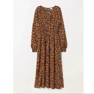 H&M Leopard Maxi Print Dress
